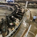 The Economic Impact of Dairy Farming in the United States