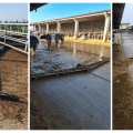 Effective Manure Management Practices in Dairy Farming