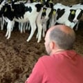 Debunking Myths: Understanding Dairy Farming and Its Realities