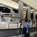 Understanding the Differences Between Organic and Conventional Dairy Farming