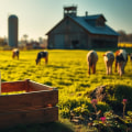 Understanding Dairy Farming Regulations in the United States