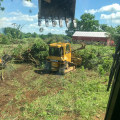Land Clearing Services in Columbia, MO: Supporting Dairy Farming and Productive Land Use