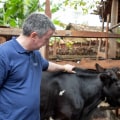 How Dairy Farmers Enrich Their Communities: A Look at Local Contributions
