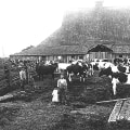 The Evolution of Dairy Farming: A Historical Perspective