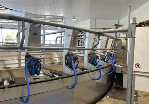 Essential Safety Precautions for Dairy Farming Operations