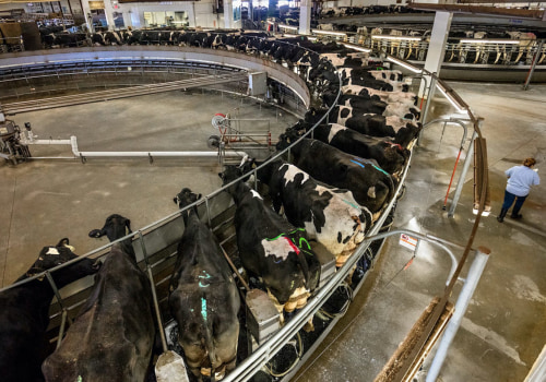The Economic Impact of Dairy Farming in the United States