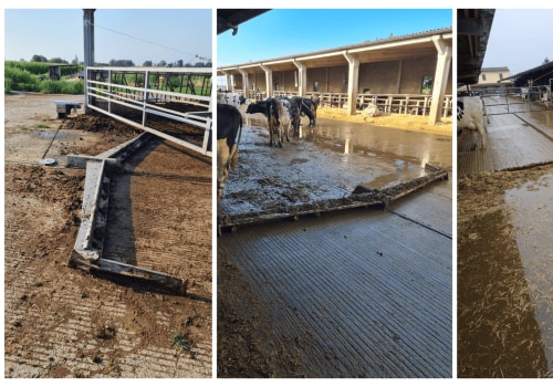 Effective Manure Management Practices in Dairy Farming