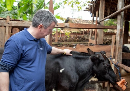 How Dairy Farmers Enrich Their Communities: A Look at Local Contributions