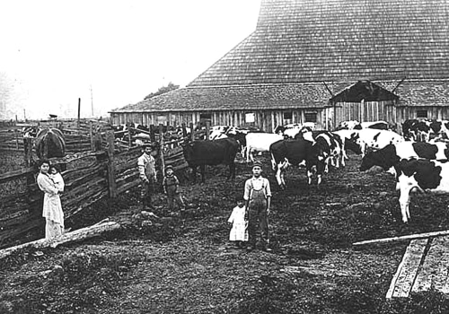 The Evolution of Dairy Farming: A Historical Perspective
