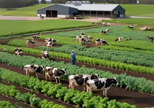 The Role of Dairy Farmers in Promoting Sustainable Agriculture Practices